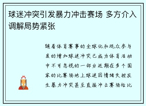 球迷冲突引发暴力冲击赛场 多方介入调解局势紧张